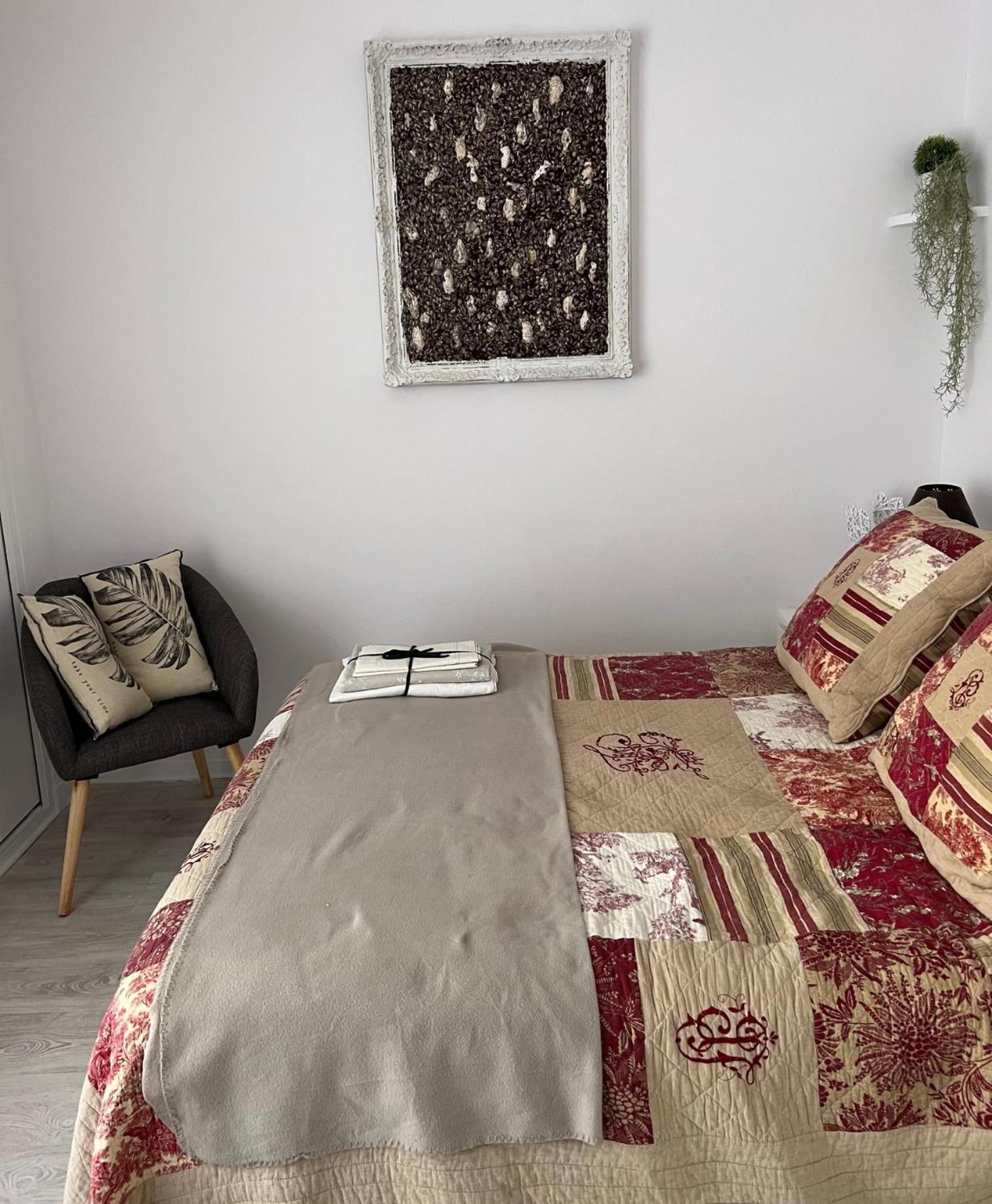 Charmant Logement Entre Mer Et Montagne Ideal Pour Cure Thermale Amélie-les-Bains-Palalda Dış mekan fotoğraf